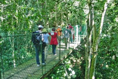 Copan Ruinas Coffee Tour