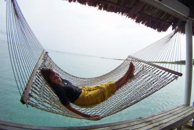 Shore Excursion: Design your Own Day Excursion While in Roatan