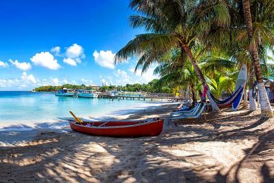 Shore Excursion: Roatan East West Private Half-Day Island Tour 