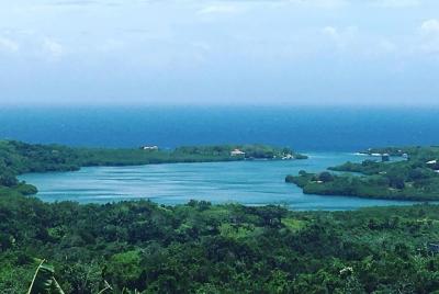 Make your day, Your way Roatan city freestyle tour