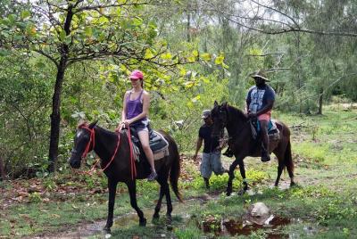 Roatan Combo Tour: Jungle Horseback Riding and Beach Break