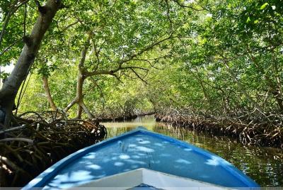 Roatan Mangrove Cultural Experience 
