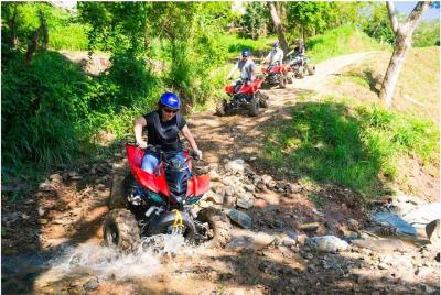 Best of Roatan: ATV Adventure or BUGGY BLAST(Sloths & Beach Optio