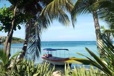 Reef snorkeling tour