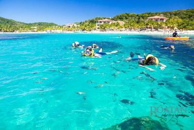Roatan Excursion: Beach Break/ Plus Sloth Park and Snorkel Advent