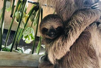 wildlife adventure & beach