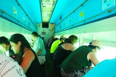 Glass Bottom Boat, Sloth, Monkey Park, Chocolate Factory & West B