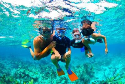 West Bay Aquarium Snorkeling, Beach, Zipline, City Tour & Transfe