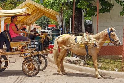 Day Tour Valle de Angeles - San Juancito - Cantarranas from Teguc Day Tour Valle de Angeles - San Juancito - Cantarranas from Teguc