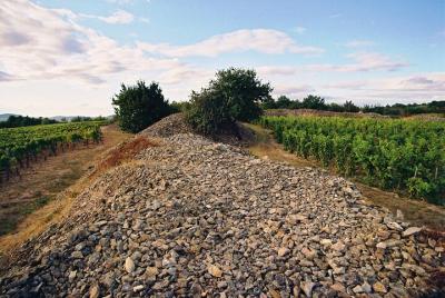 Full-Day Custom Tokaj Wine Tour