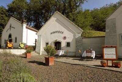 Private Dereszla Wines Tasting and Local Tapas in Tokaj 