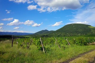 Hiking in the Bükk Mountains near Eger