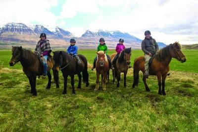 Family Friendly Horse Riding Tour in Skagafjörður Family Friendly Horse Riding Tour in Skagafjörður