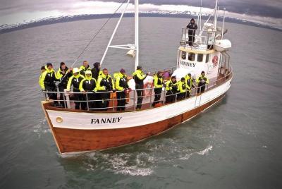 Whale Watching in Husavik Whale Watching in Husavik