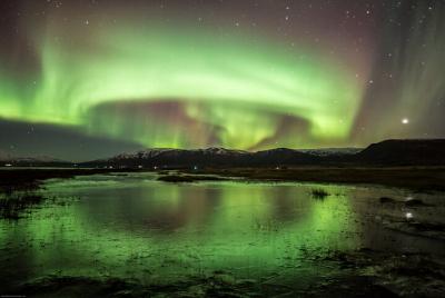 Northern Lights Classic Tour from Akureyri Northern Lights Classic Tour from Akureyri