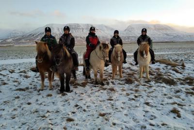 The Viking North Iceland Horse Riding in Winter Experience The Viking North Iceland Horse Riding in Winter Experience