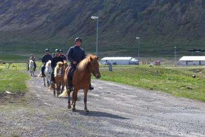 The Valley Ride Private HORSE RIDING Tour The Valley Ride Private HORSE RIDING Tour