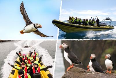 Puffin Tour by RIB Speedboat from Downtown Reykjavik Puffin Tour by RIB Speedboat from Downtown Reykjavik