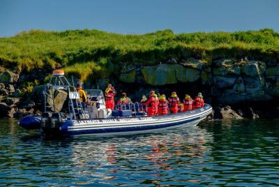 Premium Small-Group Puffin & Bird Watching tour from Reykjavík Premium Small-Group Puffin & Bird Watching tour from Reykjavík