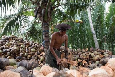Small-Group Full-Day Mekong Adventure Tour From Ho Chi Minh City Small-Group Full-Day Mekong Adventure Tour From Ho Chi Minh City