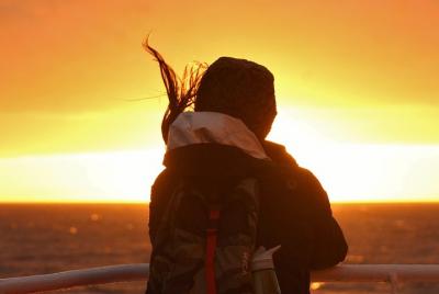Magical Whales in the Midnight Sun | from Reykjavik Magical Whales in the Midnight Sun | from Reykjavik