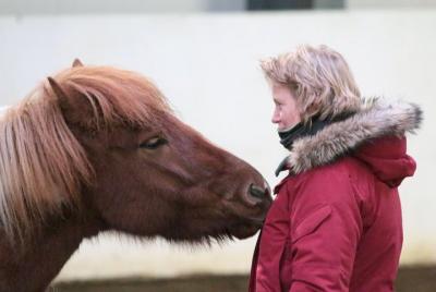 Icelandic Horse Experience - Stable Tour and Ride Icelandic Horse Experience - Stable Tour and Ride