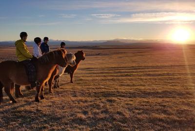 Horseback Riding in the Icelandic Meadows with Mountain Views Horseback Riding in the Icelandic Meadows with Mountain Views