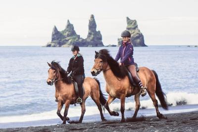 Black Sand Beach Horse Riding Tour from Vik Black Sand Beach Horse Riding Tour from Vik