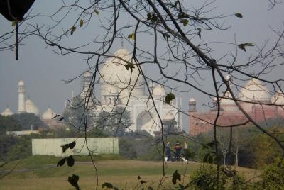Exterior Nature Walk Surrounding the Taj Mahal Exterior Nature Walk Surrounding the Taj Mahal