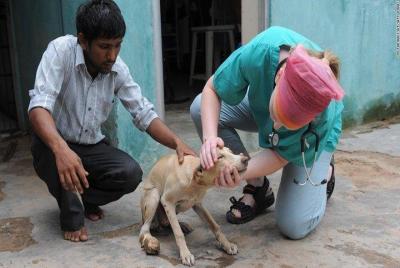 Animal Rehabilitation Center Visit with Taj Mahal Tour Animal Rehabilitation Center Visit with Taj Mahal Tour
