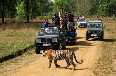 Private 3-Day Ranthambhore Tiger Tour including Agra and Jaipur Private 3-Day Ranthambhore Tiger Tour including Agra and Jaipur