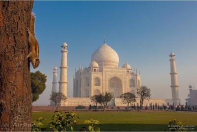 Private Taj Mahal and Agra Full-Day Tour from Agra Private Taj Mahal and Agra Full-Day Tour from Agra