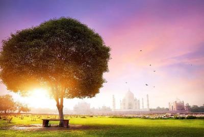 Private Taj Mahal Sunrise and Agra Fort Tour From Delhi - All Inclusive