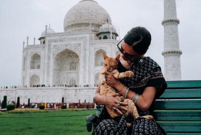 Agra Half-Day Tour of Taj Mahal and Agra Fort by Car Agra Half-Day Tour of Taj Mahal and Agra Fort by Car