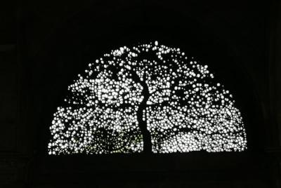 Ahmedabad City tour in a day Ahmedabad City tour in a day
