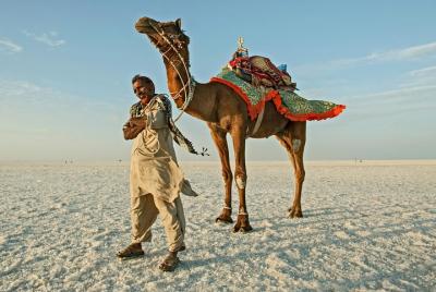 Gujarat Archaeological & Natural Wonders - Extension Tour from Ahmedabad Gujarat Archaeological & Natural Wonders - Extension Tour from Ahmedabad