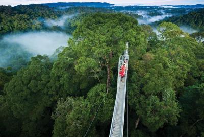 Full Day Trip of Brunei Ulu Temburong National Park including Can