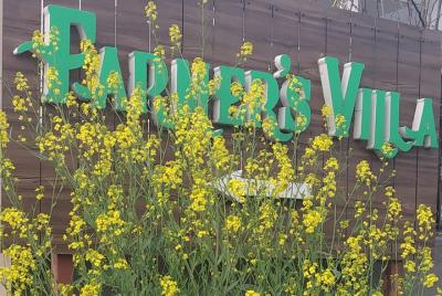 Village Trip Amritsar