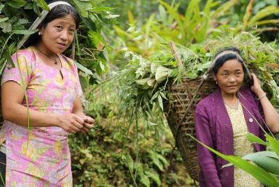 Cultural Tour of Sikkim (7 Days)