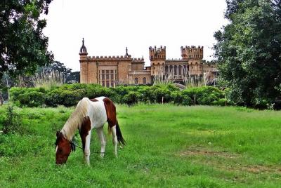 Bangalore - Full Day Private Tour Bangalore - Full Day Private Tour