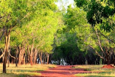 Countryside and dance trail in Bangalore Countryside and dance trail in Bangalore