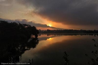 Birding & Bird Photography tour in Bangalore Birding & Bird Photography tour in Bangalore