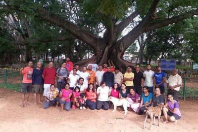 A Trail Through Parks Of Bangalore A Trail Through Parks Of Bangalore