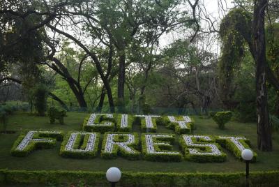 Garden Trails of Chandigarh (Guided Full Day City Tour) Garden Trails of Chandigarh (Guided Full Day City Tour)