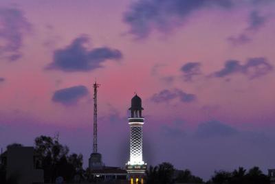 Free Walking Tour Chandigarh