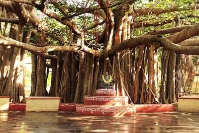 180° Art and Architectural Tour of Chennai 180° Art and Architectural Tour of Chennai