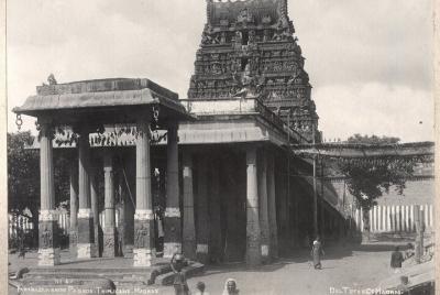 Experiencing Culture of Thiruvallikeni in Chennai