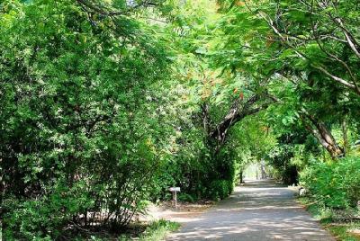 Kalakshetra, Theosophical Society & Elliots Beach - Chennai