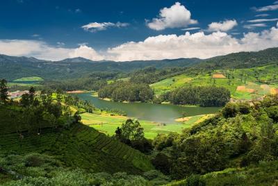 Touristic Highlights of Ooty (Guided Full Day City Sightseeing To