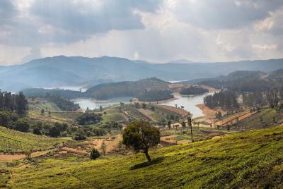 Day Trip to Coonoor (Guided Sightseeing Tour by Car from Ooty)